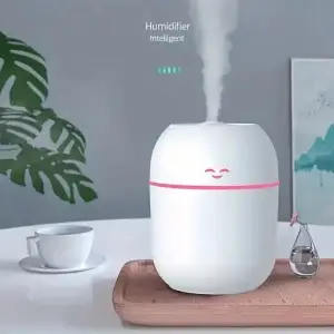 Mini humidificateur d'air